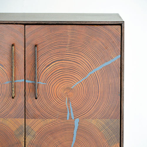 アクセサリーを楽しむように bina EVANS CABINET